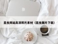 宜城昆虫网站高清照片素材（昆虫图片下载）