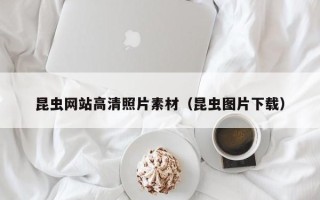 宜城昆虫网站高清照片素材（昆虫图片下载）